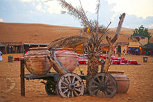 Desert Safari and Ferrari World