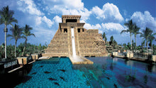 Aquaventure Waterpark - one of the most visited water park in Dubai, the image is of one of the most adventurous rides of the park. 