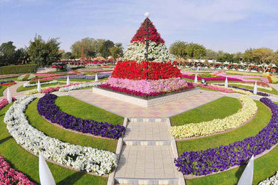 al ain tour