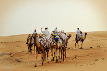 Camel Riding Dubai, Enjoy Camel riding in the middle of Dubai desert with our Licensed Safari Guide, We recommend basic knowledge of horse riding but our safari guide could help you with basic camel riding techniques. You will have an hour or two until you get exhausted.  Pickup: 8:00 AM or 10:00 AM