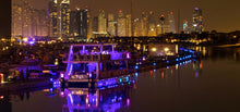 Dubai Palm Tour Cruise