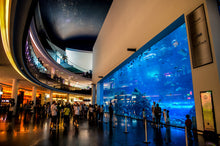 Dubai Aquarium and Underwater Zoo