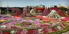 Dubai Miracle Garden