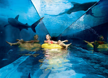 aquaventure waterpark and the lost chambers aquarium