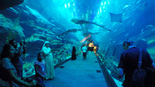 Burj Khalifa and Dubai Aquarium