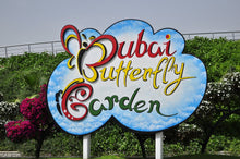 Dubai Butterfly Garden