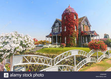 Dubai Miracle Garden
