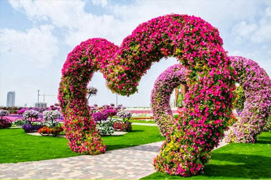 Dubai Miracle Garden