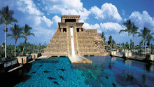 aquaventure waterpark and the lost chambers aquarium